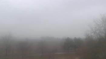 Weather camera view of Walkers Bluff.