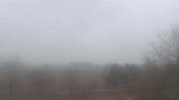 Weather camera view of Walkers Bluff.