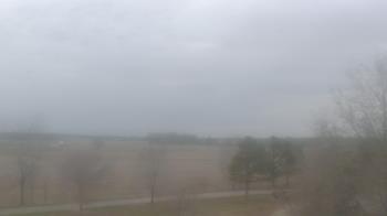 Weather camera view of Walkers Bluff.