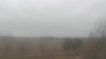 Weather camera view of Walkers Bluff.