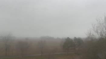 Weather camera view of Walkers Bluff.