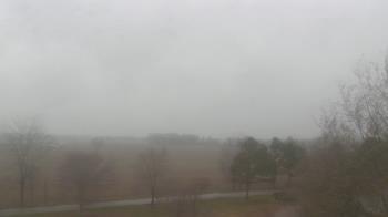 Weather camera view of Walkers Bluff.