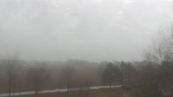 Weather camera view of Walkers Bluff.