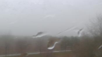 Weather camera view of Walkers Bluff.