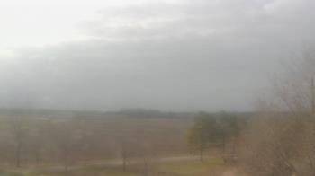 Weather camera view of Walkers Bluff.