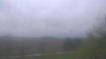 Weather camera view of Walkers Bluff.