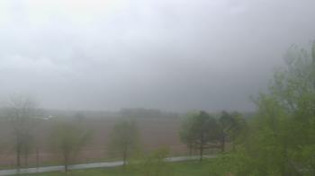 Weather camera view of Walkers Bluff.