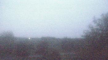 Weather camera view of Walkers Bluff.