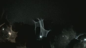 Weather camera view of Crawfordsville MS.