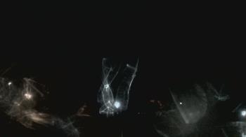 Weather camera view of Crawfordsville MS.