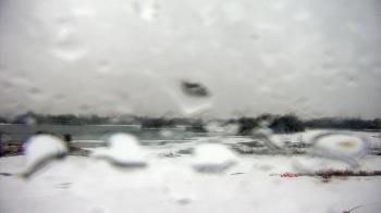 Weather camera view of Three Oaks Recreation Area.