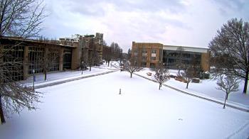Weather camera view of Misericordia University.