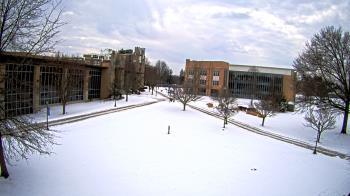 Weather camera view of Misericordia University.