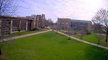 Weather camera view of Misericordia University.