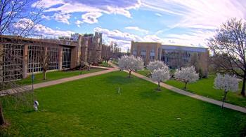 Weather camera view of Misericordia University.
