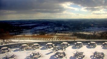 Weather camera view of Dirt Farm Brewing.