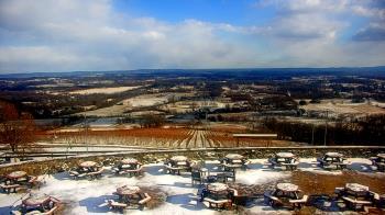 Weather camera view of Dirt Farm Brewing.