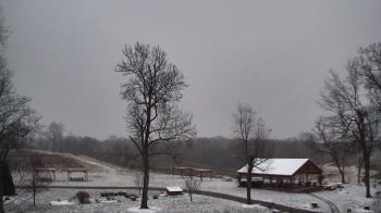 Weather camera view of Dodon Vineyards.