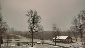 Weather camera view of Dodon Vineyards.