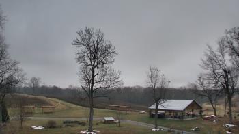 Weather camera view of Dodon Vineyards.