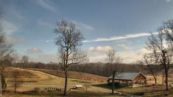 Weather camera view of Dodon Vineyards.