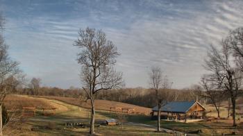 Weather camera view of Dodon Vineyards.