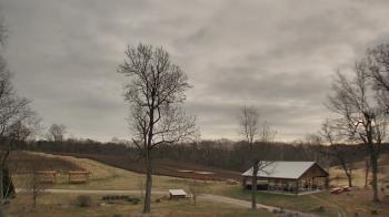 Weather camera view of Dodon Vineyards.