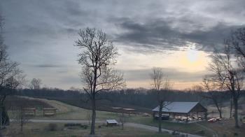 Weather camera view of Dodon Vineyards.