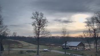 Weather camera view of Dodon Vineyards.