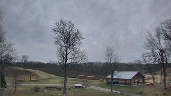 Weather camera view of Dodon Vineyards.