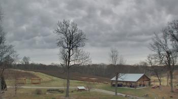 Weather camera view of Dodon Vineyards.