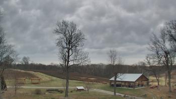Weather camera view of Dodon Vineyards.