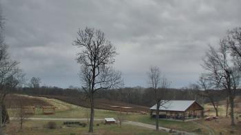 Weather camera view of Dodon Vineyards.