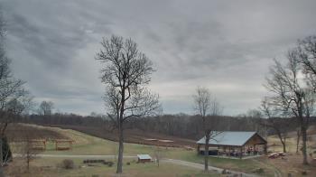 Weather camera view of Dodon Vineyards.