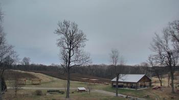 Weather camera view of Dodon Vineyards.