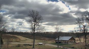 Weather camera view of Dodon Vineyards.