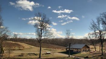 Weather camera view of Dodon Vineyards.