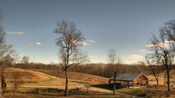 Weather camera view of Dodon Vineyards.