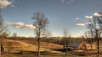 Weather camera view of Dodon Vineyards.