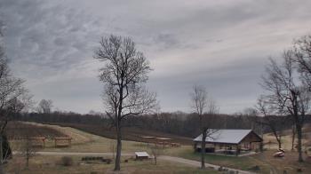 Weather camera view of Dodon Vineyards.