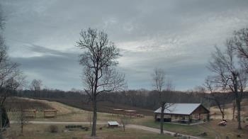 Weather camera view of Dodon Vineyards.