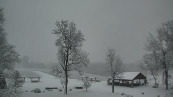 Weather camera view of Dodon Vineyards.