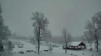 Weather camera view of Dodon Vineyards.