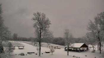 Weather camera view of Dodon Vineyards.