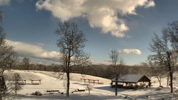 Weather camera view of Dodon Vineyards.