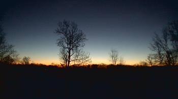 Weather camera view of Dodon Vineyards.