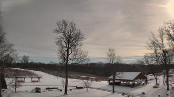 Weather camera view of Dodon Vineyards.