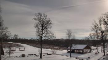 Weather camera view of Dodon Vineyards.