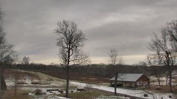 Weather camera view of Dodon Vineyards.