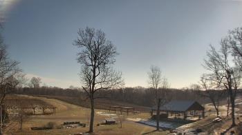Weather camera view of Dodon Vineyards.